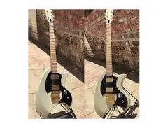 Dunable - Shiv Mehra Custom Guitar main image