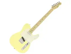Fender Telecaster Telebration 60th Empress main image