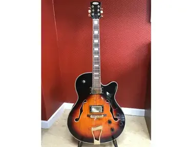 Stagg Hollowbody ES-175 clone