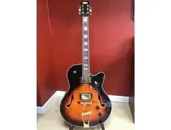 Stagg Hollowbody ES-175 clone