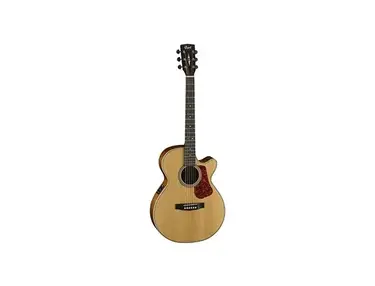 Cort L100F