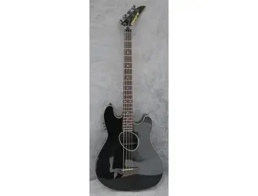 Kramer Ferrington Acoustic Bass