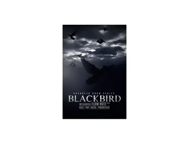8Dio - Blackbird Kit