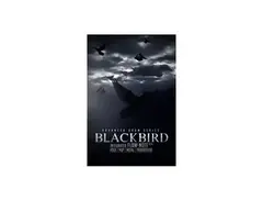 8Dio - Blackbird Kit main image