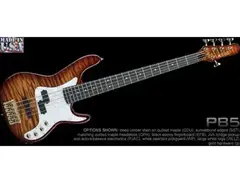 Kiesel PB5 5 String Bass main image