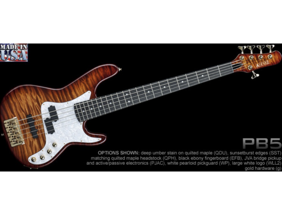 Kiesel Pb5 5 String Bass Artists Using It Equipboard