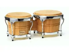 Bongo