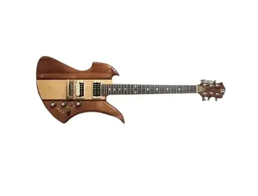 B.C. Rich Joey Jordison Warlock II - What To Know & Where To Buy