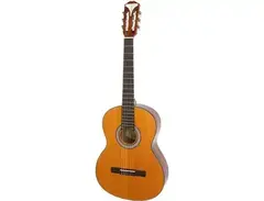epiphone pro-1 classical guitar