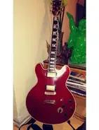 1982 Gibson Lucille main image