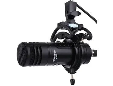 Alctron BC800V2 Microphone