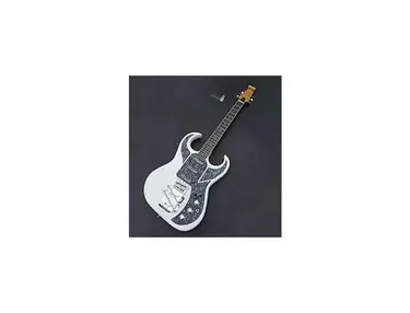 Burns Bison Guitar
