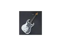 Burns Bison Guitar