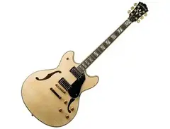 Washburn EB-35 main image