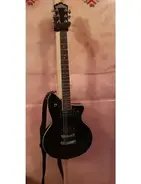 washburn p2 main image