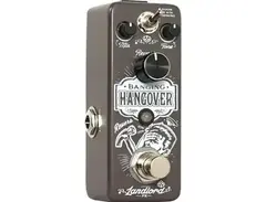 Landlord FX Banging Hangover Reverb Pedal