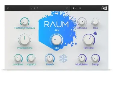 Native Instruments Raum