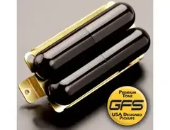 GFS Pro-Tube Humbucker main image