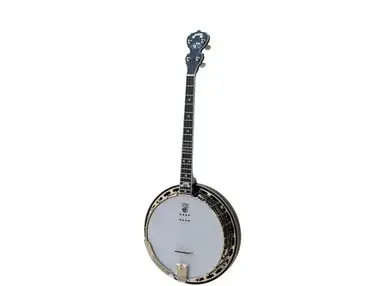 Deering Dropkick Murphys Tenor Banjo