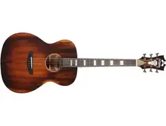 D'Angelico Premier Tammany Acoustic Guitar