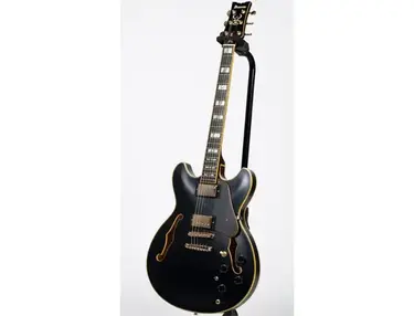 Ibanez JSM20 John Scofield Signature