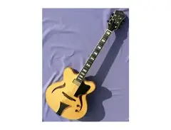 Hofner (Höfner) JS Stowell Verythin
