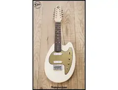 F Bass Hammertone main image