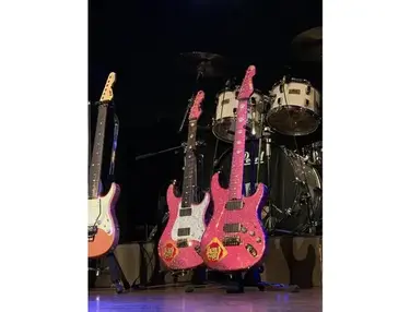 ESP Ohmura Custom Pink-Chan Snapper 7