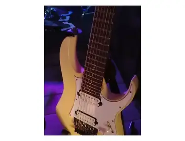 Ibanez Cameron Maynard RG7 LACS