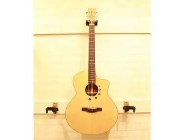 L.Luthier - Cofe S Guitar