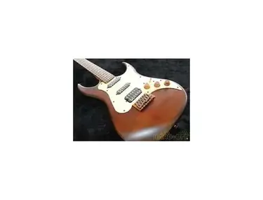 AXL BADWATER SRO Stratocaster Type Electric Guitar