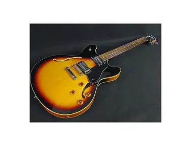 Johnson Instruments JS-500 Semi-Hollow Electric Guitar