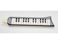 Hohner Melodica Piano 27 main image
