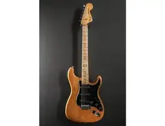 Fender 79 Stratacaster main image