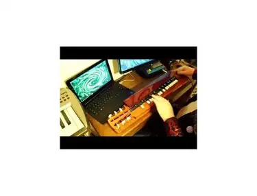 Electric taisho koto