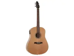 Seagull S6 Classic M-450T main image