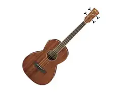 Ibanez PNB14E-OPN - What To Know & Where To Buy | Equipboard