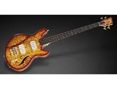 Warwick Sklar Signature Bass