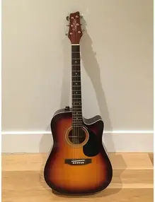 SaeHan SDC61 Electro Acoustic