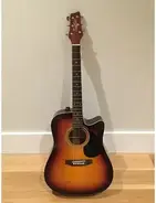 SaeHan SDC61 Electro Acoustic main image