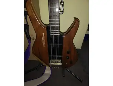 Washburn S1000 Status
