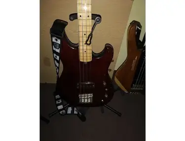 Ibanez roadster fretless
