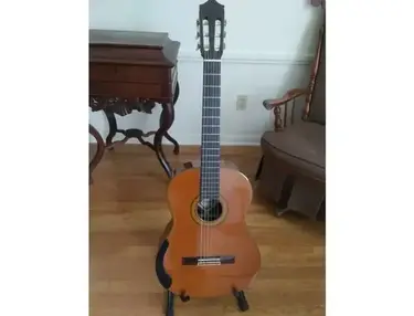 Fernandes GC830 Classical Guitar