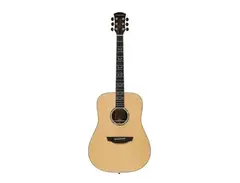 Orangewood Echo Live Limited Edition