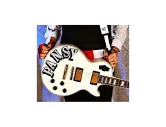 "Pansy" Epiphone Les Paul Custom