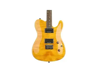 Fender Special Edition Custom Telecaster Flame Maple Top HH