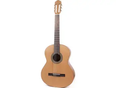 Antonio Sanchez Guitars Mod S10