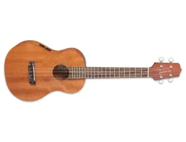 Takamine EGU-T1