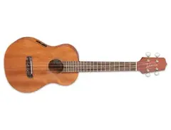 Takamine EGU-T1 main image