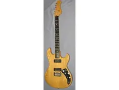 G&L F-100